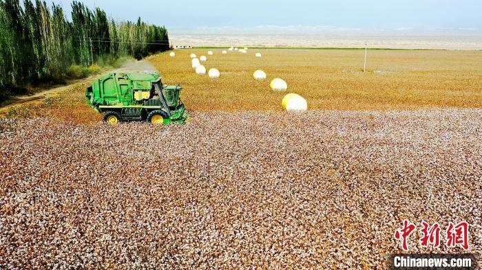 近年來，當地棉花種植戶的生產生活發(fā)生了翻天覆地的變化?！《?攝