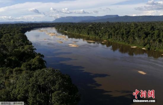 資料圖：亞馬孫雨林內(nèi)的河流。