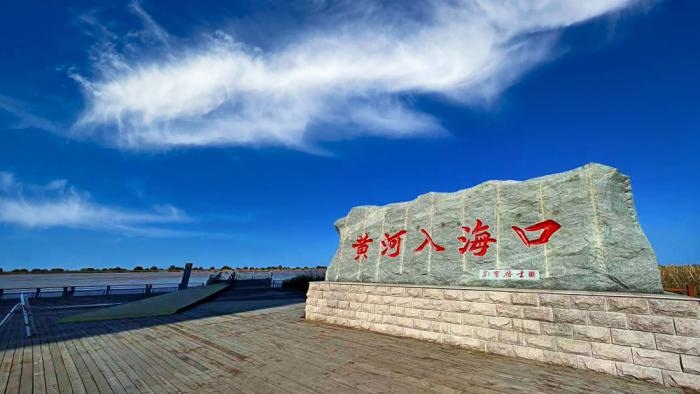 △黃河入?？谖挥谏綎|東營市墾利區(qū)。(總臺央視記者彭漢明拍攝)