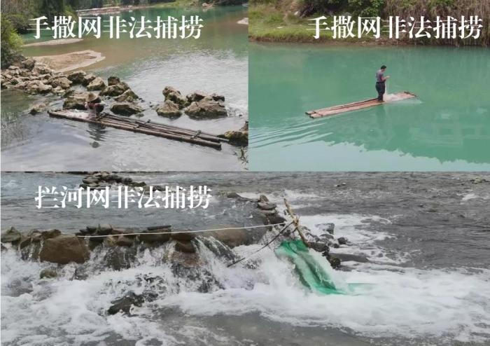 2021年9—10月，前期暗查發(fā)現(xiàn)，保護區(qū)核心區(qū)內(nèi)非法捕撈行為十分猖獗