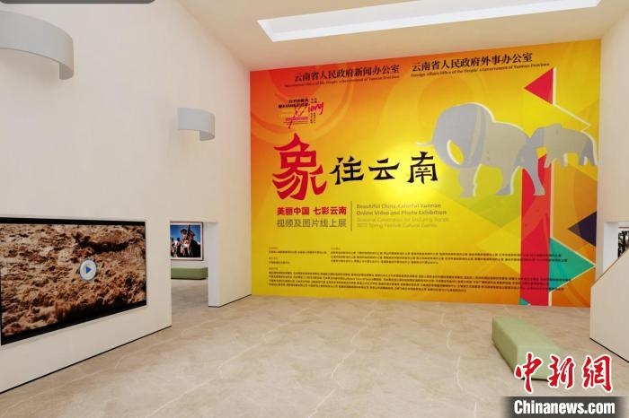 圖為“象”往云南——美麗中國 七彩云南視頻及圖片線上展截圖?！『h(yuǎn)航 攝