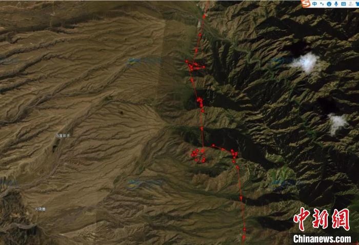 圖為雪豹故地重游來到放歸地的足跡?！?nèi)蒙古賀蘭山國家級自然保護(hù)區(qū)供圖
