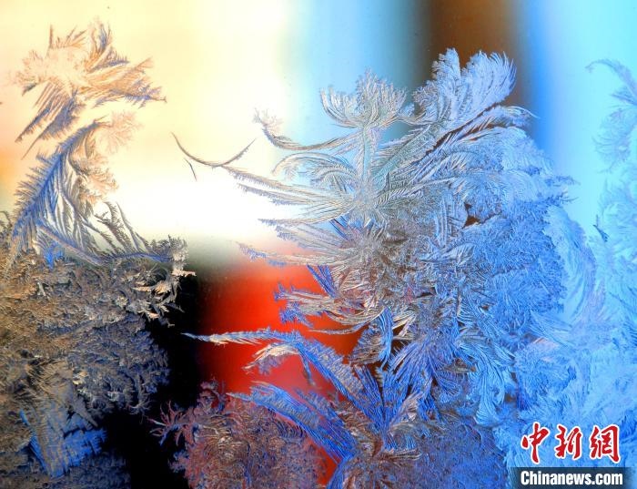 冰窗花千姿百態(tài)?！O書程 攝