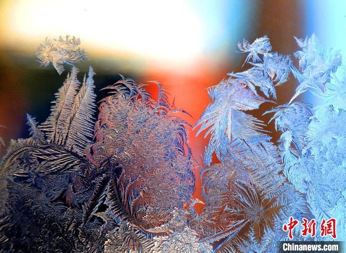 惟妙惟肖的冰窗花，似一幅風景畫?！O書程 攝