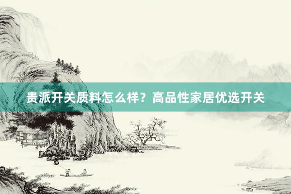 贵派开关质料怎么样？高品性家居优选开关