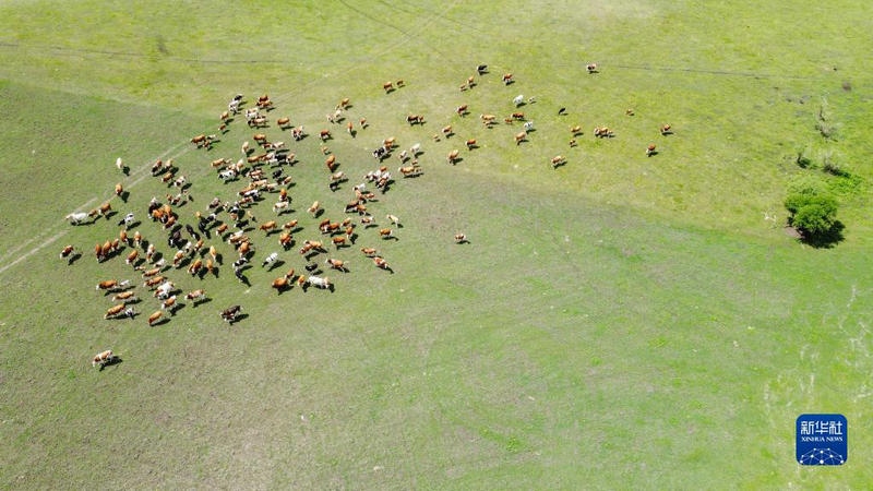 1656664636515735.jpg 00300572899_42166394_副本.jpg