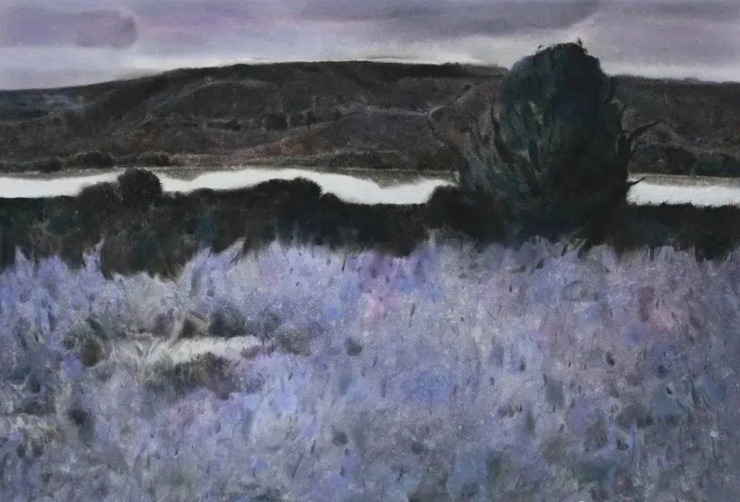 1682435556254920.jpg 23.jpg