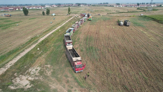 1695024632537897.jpg 3.jpg