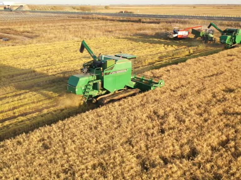 1698119210517371.png 5.png