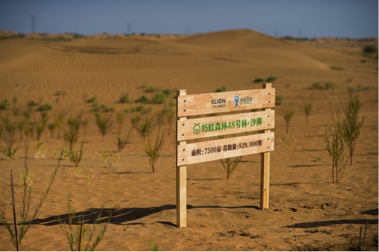 1713783502660408.png 第55個世界地球日544.png