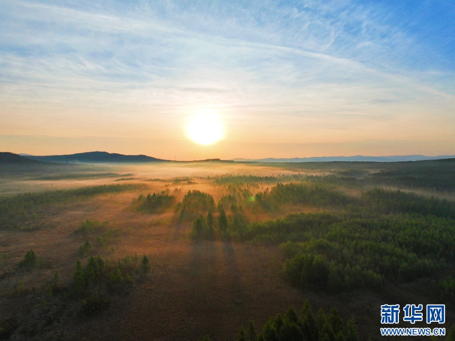 1718071576852932.jpg _K4I9674(2).JPG