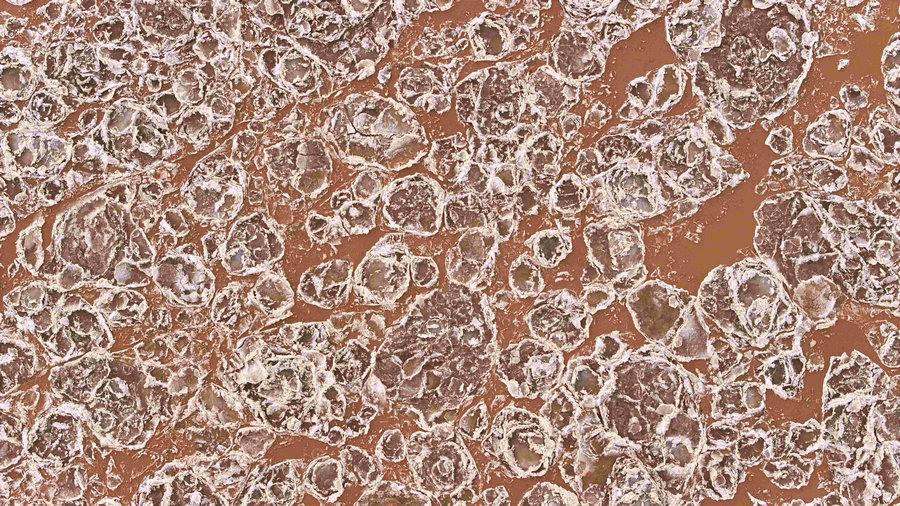 1732848548520555.jpg 流凌5c.jpg