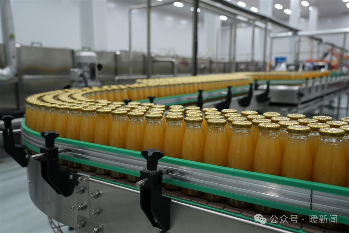 1735198714983190.png 1.png