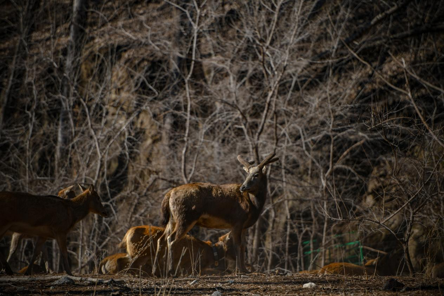 1740123155658257.png 圖片5.png