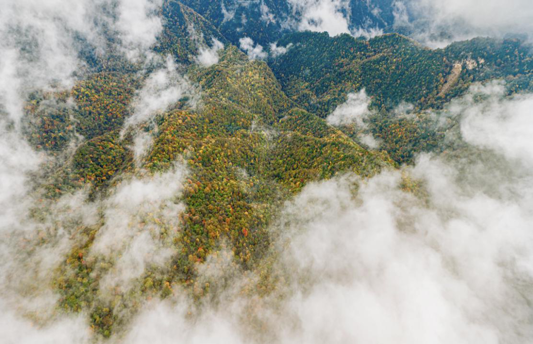 1741083660107773.png 640 (2).png