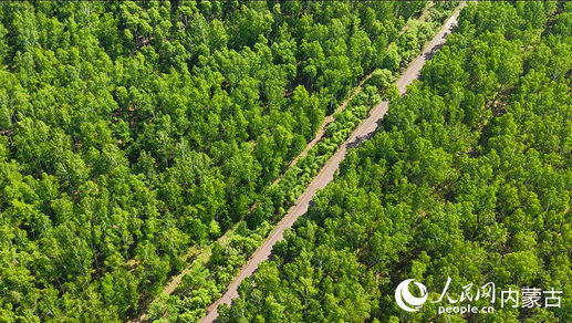 1752798355837183.jpg 呼倫.jpg