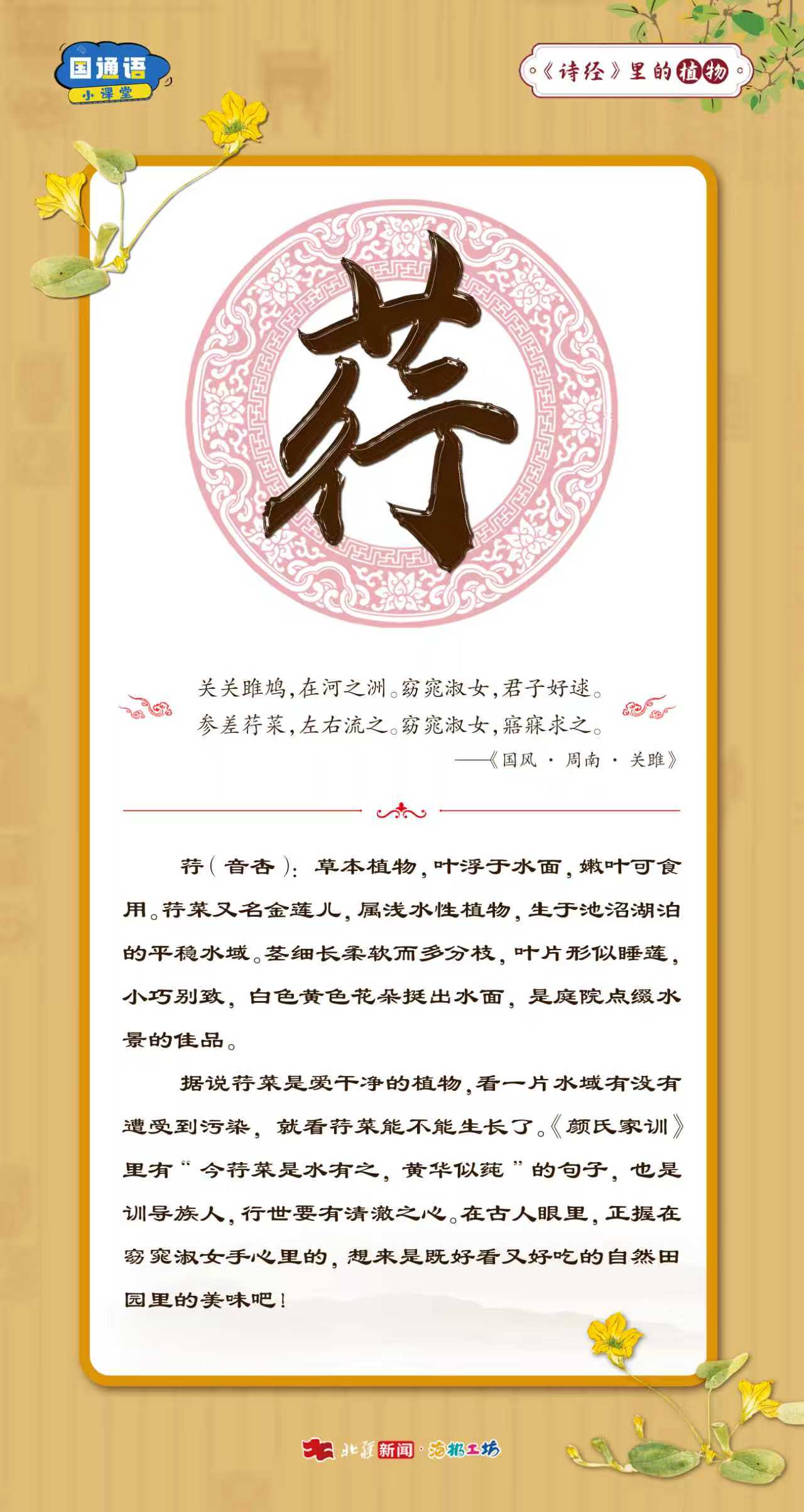 1765078096937576.jpeg WechatIMG1867.jpeg