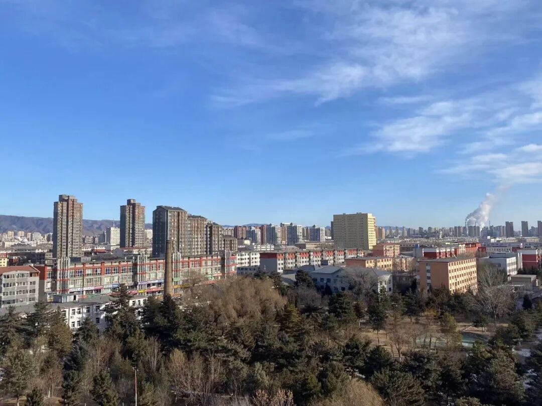 1768808694592375.jpg _O6I0394(1).JPG