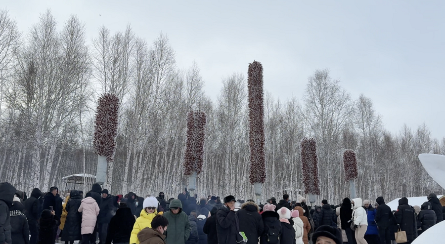 1772094433769451.png 01e87609dc7bf9a79d080c384c81fa53.png