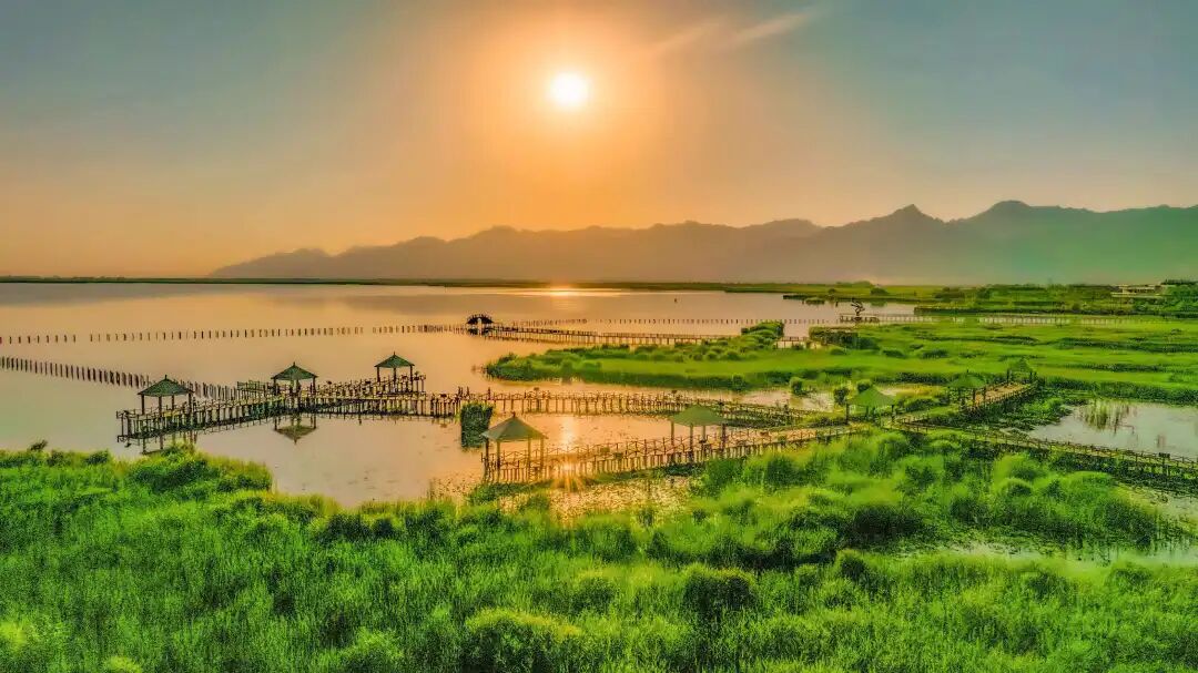 1774522522149277.jpg 640 (4).jpg