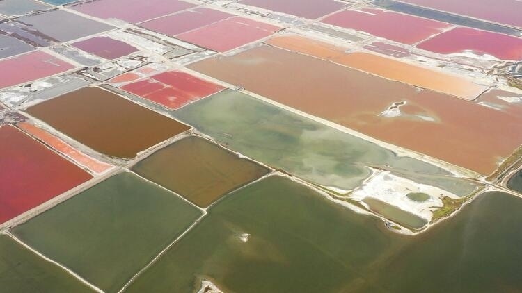 鑒往知來，跟著總書記學(xué)歷史丨走進(jìn)一座博物館，尋根五千年中華文明