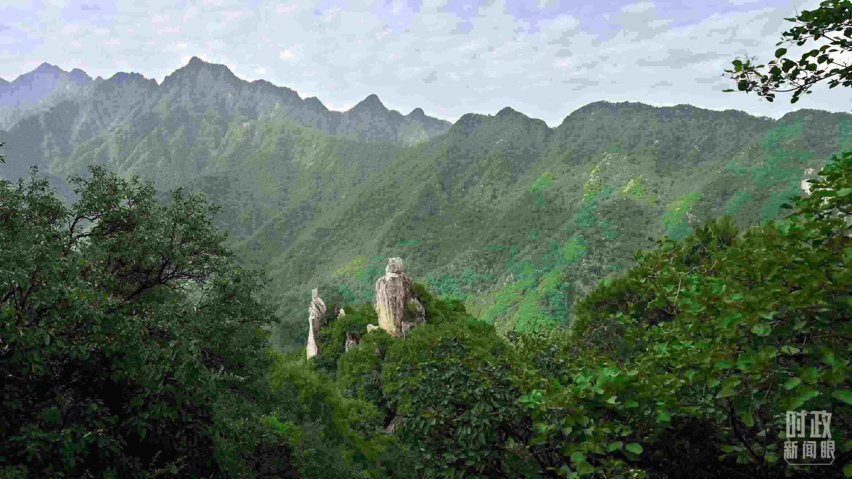 △秦嶺。（圖／視覺中國）