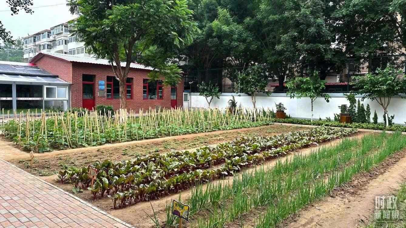 △學生農場。（總臺央視記者趙化拍攝）