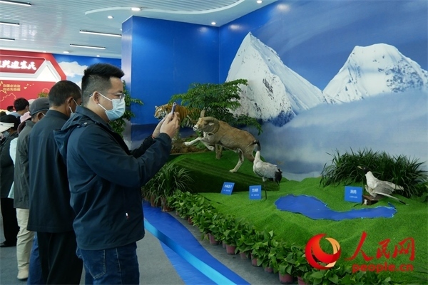 6月17日，觀眾正在觀展。人民網 韋衍行攝