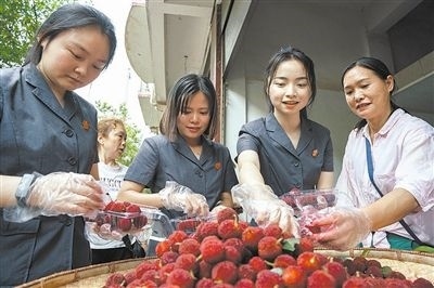 志愿者和村民一起將摘下的楊梅裝進(jìn)食品盒里。