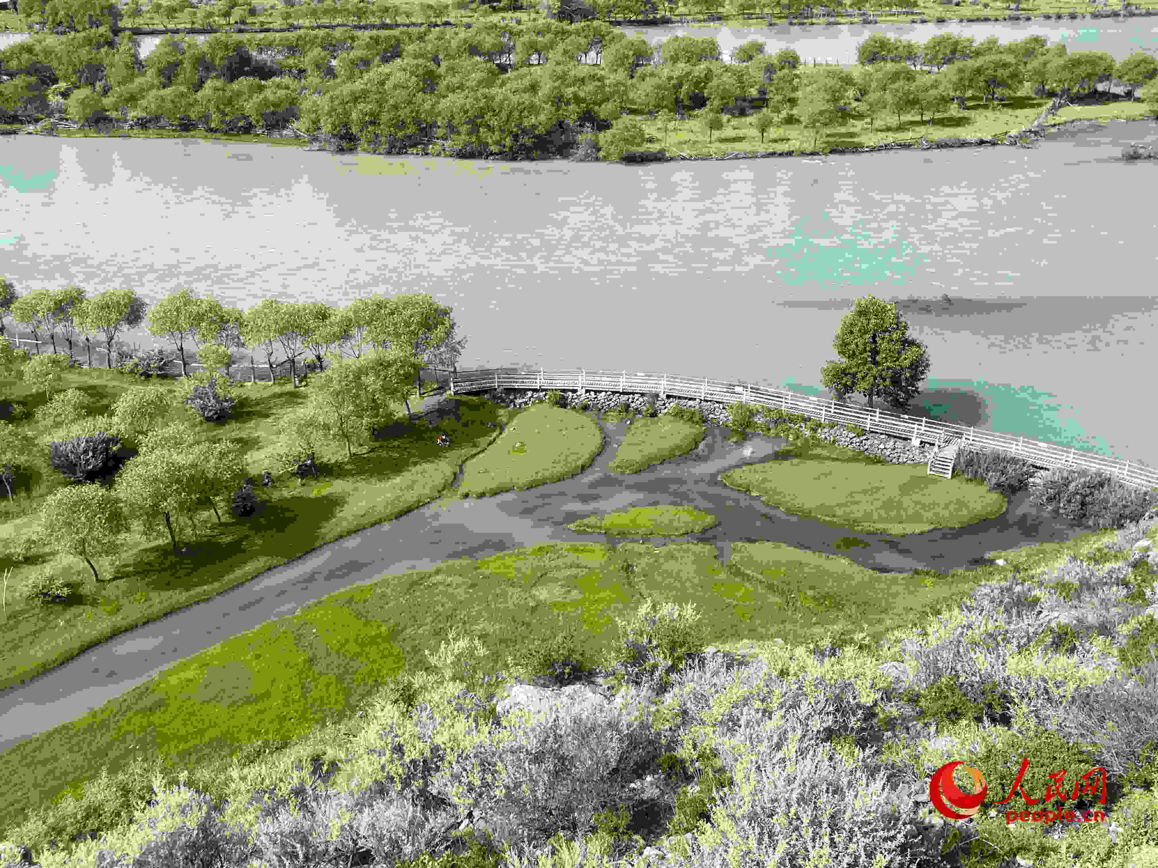 夏日的雅尼國(guó)家濕地公園生機(jī)盎然，如詩(shī)如畫。人民網(wǎng) 周靜圓攝