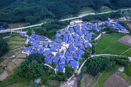 磨憨鎮(zhèn)曼莊村大龍哈小組現(xiàn)代化邊境幸福村新貌。人民網(wǎng)記者 符皓攝