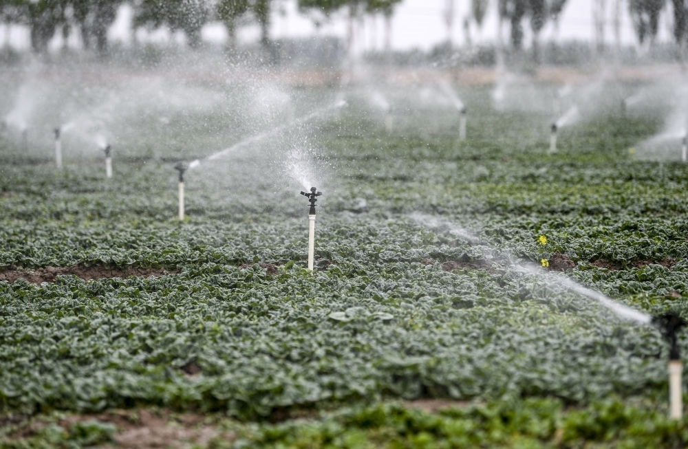 2023年5月25日，在寧夏銀川市永寧縣望洪鎮(zhèn)宋澄村冷涼蔬菜種植基地，小型噴灌節(jié)水設(shè)備在進(jìn)行噴灌作業(yè)。新華社記者 馮開華 攝