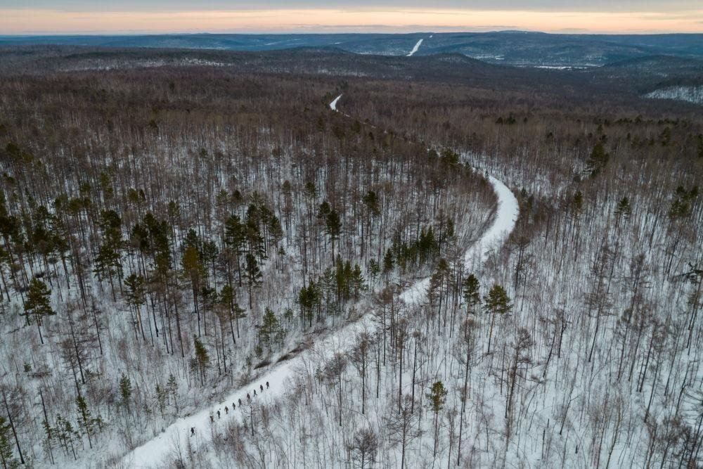 △2023年1月，漠河林場數(shù)十名職工自發(fā)組成的森林撫育隊(duì)伍，在人跡罕至的山林中作業(yè)。