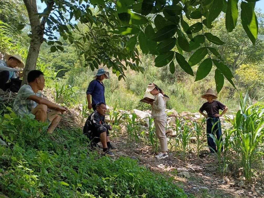 2023年7月18日，兩家村民發(fā)生土地方面的糾紛，李江女（右二）在記錄情況。受訪者供圖