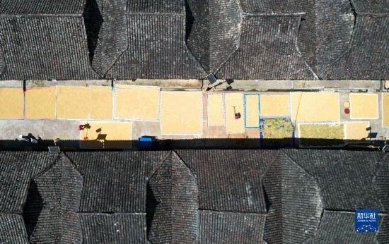 9月16日，在貴州省黔東南苗族侗族自治州從江縣加勉鄉(xiāng)污扣村，村民在晾曬稻谷（無人機照片）。