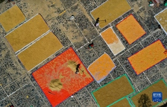 9月16日，貴州省黔東南苗族侗族自治州丹寨縣南皋鄉(xiāng)石橋村村民在晾曬農(nóng)作物（無人機照片）。