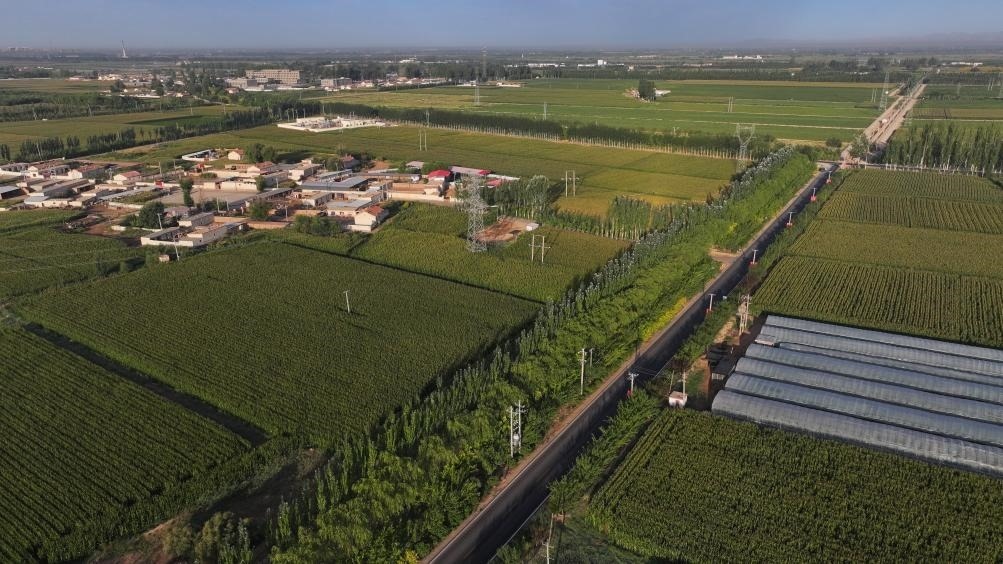 東興村周邊建起防護(hù)林網(wǎng)（無人機照片，2023年9月12日攝）。新華社記者李云平 攝