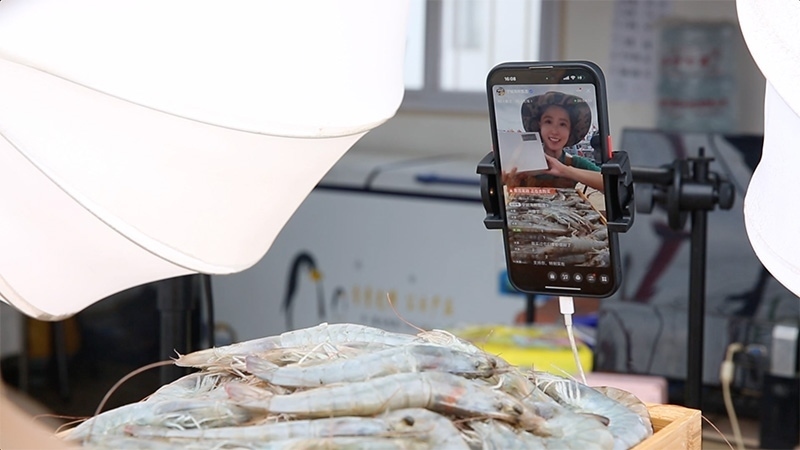 江蘇連云港，村民進(jìn)行直播銷售。范堯攝