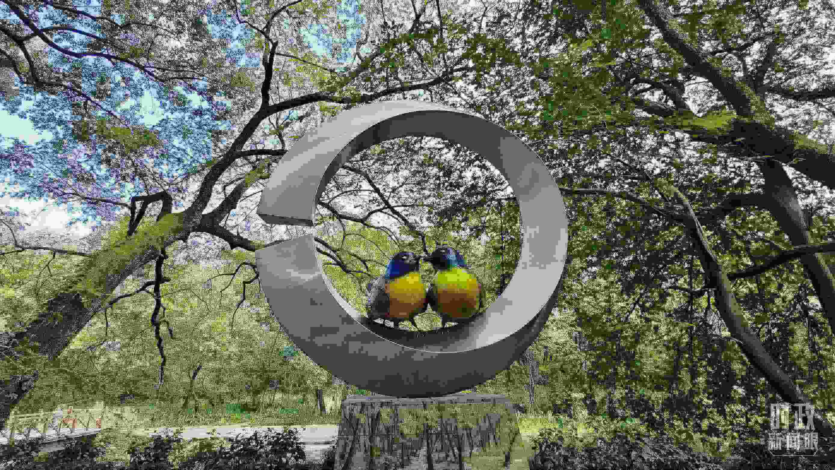 △石門村里的藍(lán)冠噪鹛雕像。（總臺(tái)央視記者許永松拍攝）