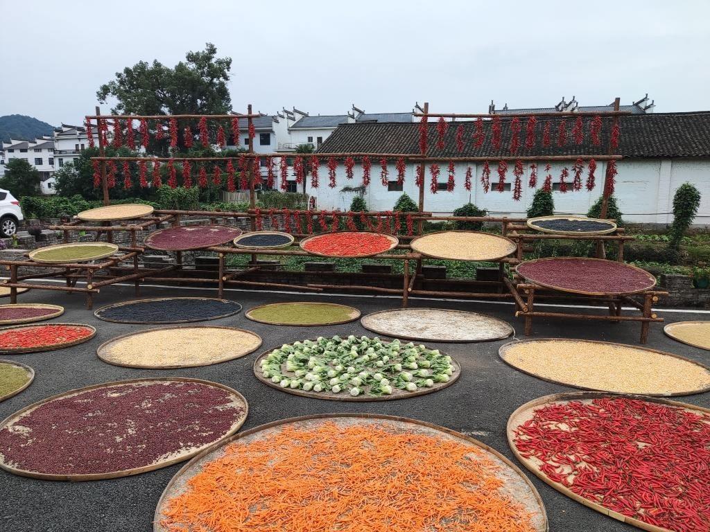 近日，江西省上饒市婺源縣秋口鎮(zhèn)王村村民晾曬的農(nóng)作物。新華社記者 劉佳敏 攝