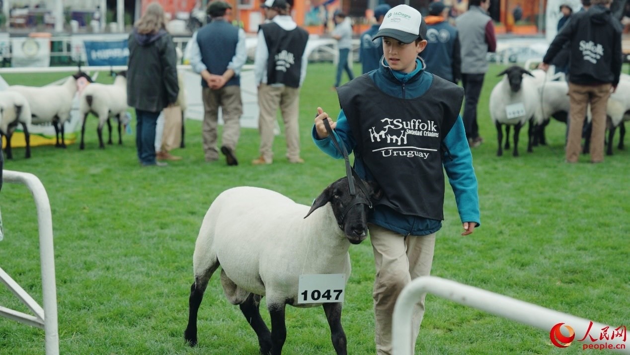 烏拉圭第118屆普拉多牧農業(yè)國際博覽會現(xiàn)場。人民網記者 張若涵攝