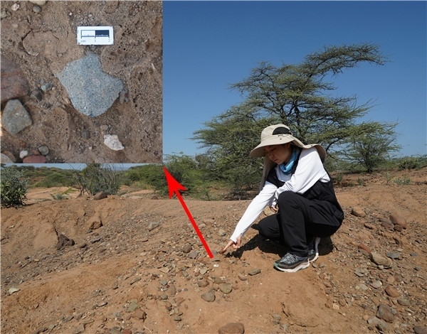 地層中的勒瓦婁哇石片。中肯聯合考古隊供圖