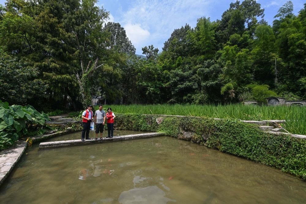 2023年8月17日，浙江省麗水市青田縣方山鄉(xiāng)田魚養(yǎng)殖戶吳勇強(qiáng)（中）在接受青田農(nóng)商銀行“小蜻蜓”服務(wù)隊(duì)志愿者提供的“惠民易貸”上門服務(wù)。近年來，青田縣金融發(fā)展中心聯(lián)合各個(gè)金融機(jī)構(gòu)優(yōu)化配套鄉(xiāng)村振興金融服務(wù)，推出“惠民易貸”“農(nóng)家樂貸”等金融產(chǎn)品，重點(diǎn)支持涉農(nóng)龍頭企業(yè)及特色種養(yǎng)殖產(chǎn)業(yè)。新華社記者 徐昱 攝