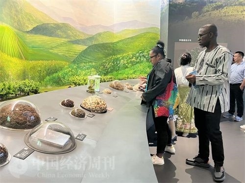  （在中國藥都中醫(yī)藥博物館，外媒記者了解中醫(yī)藥發(fā)展史。中國經(jīng)濟周刊記者 郭志強 攝）
