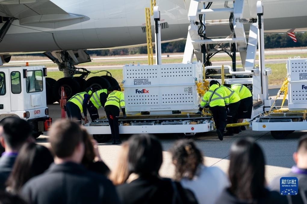 11月8日，在美國弗吉尼亞州的華盛頓杜勒斯國際機(jī)場，裝有大熊貓的特制“旅行包廂”準(zhǔn)備運(yùn)上專機(jī)。新華社記者劉杰攝