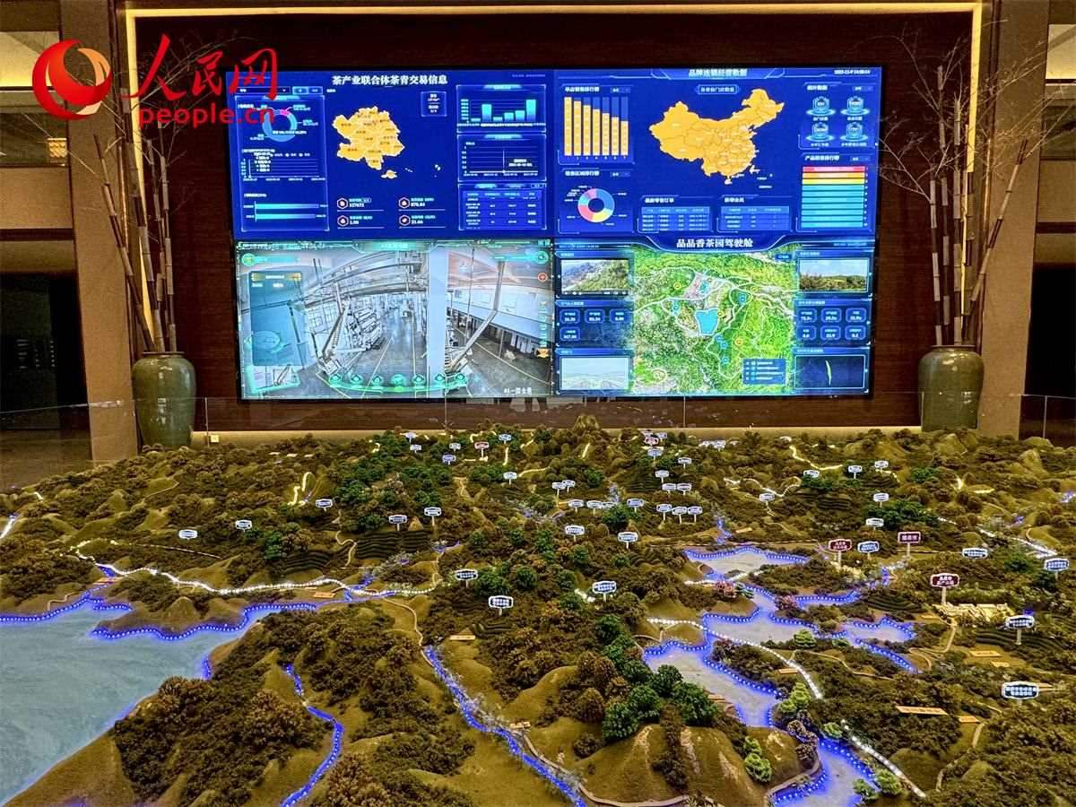 品品香白茶產(chǎn)業(yè)園信息中心數(shù)智化大屏。人民網(wǎng)記者 劉微攝