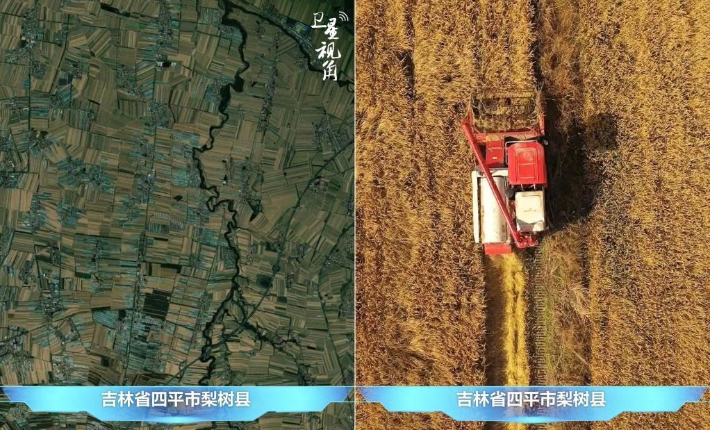 隨著現(xiàn)代化農(nóng)機普及應(yīng)用，保護性耕作“梨樹模式”得以大面積推廣，不僅使黑土地保護與利用持續(xù)深入，更為糧食作物高產(chǎn)穩(wěn)產(chǎn)助力。