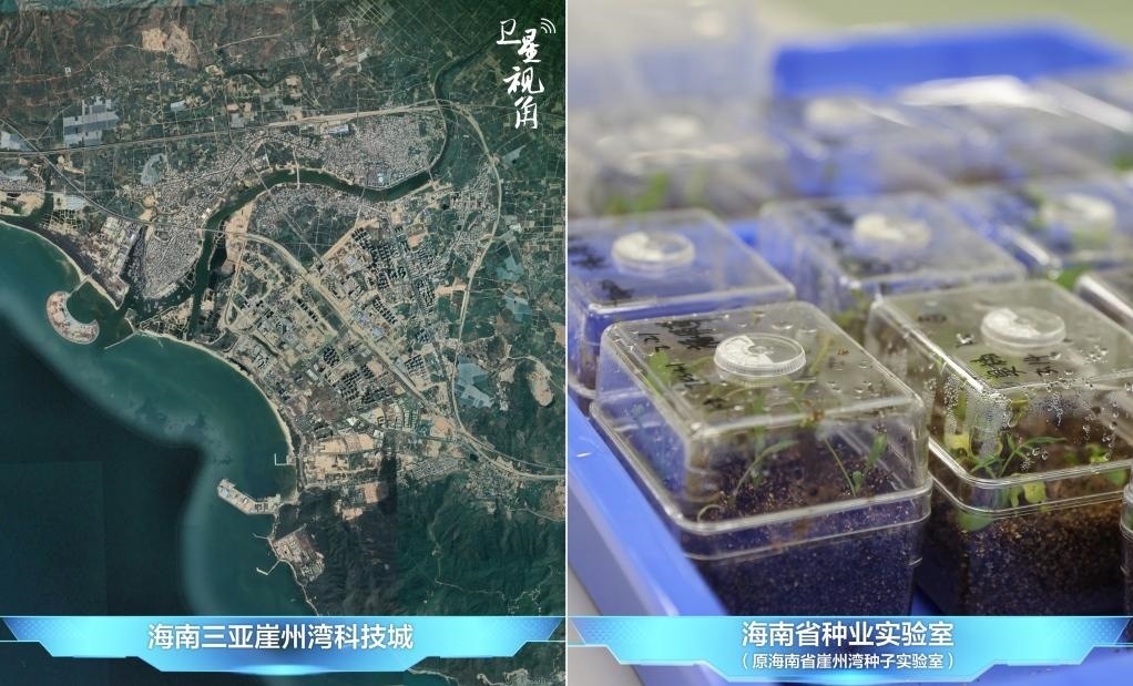 位于三亞崖州灣科技城的海南省種業(yè)實驗室（原海南省崖州灣種子實驗室）將形成輻射全國和“一帶一路”沿線國家的種子科學技術(shù)創(chuàng)新中心。