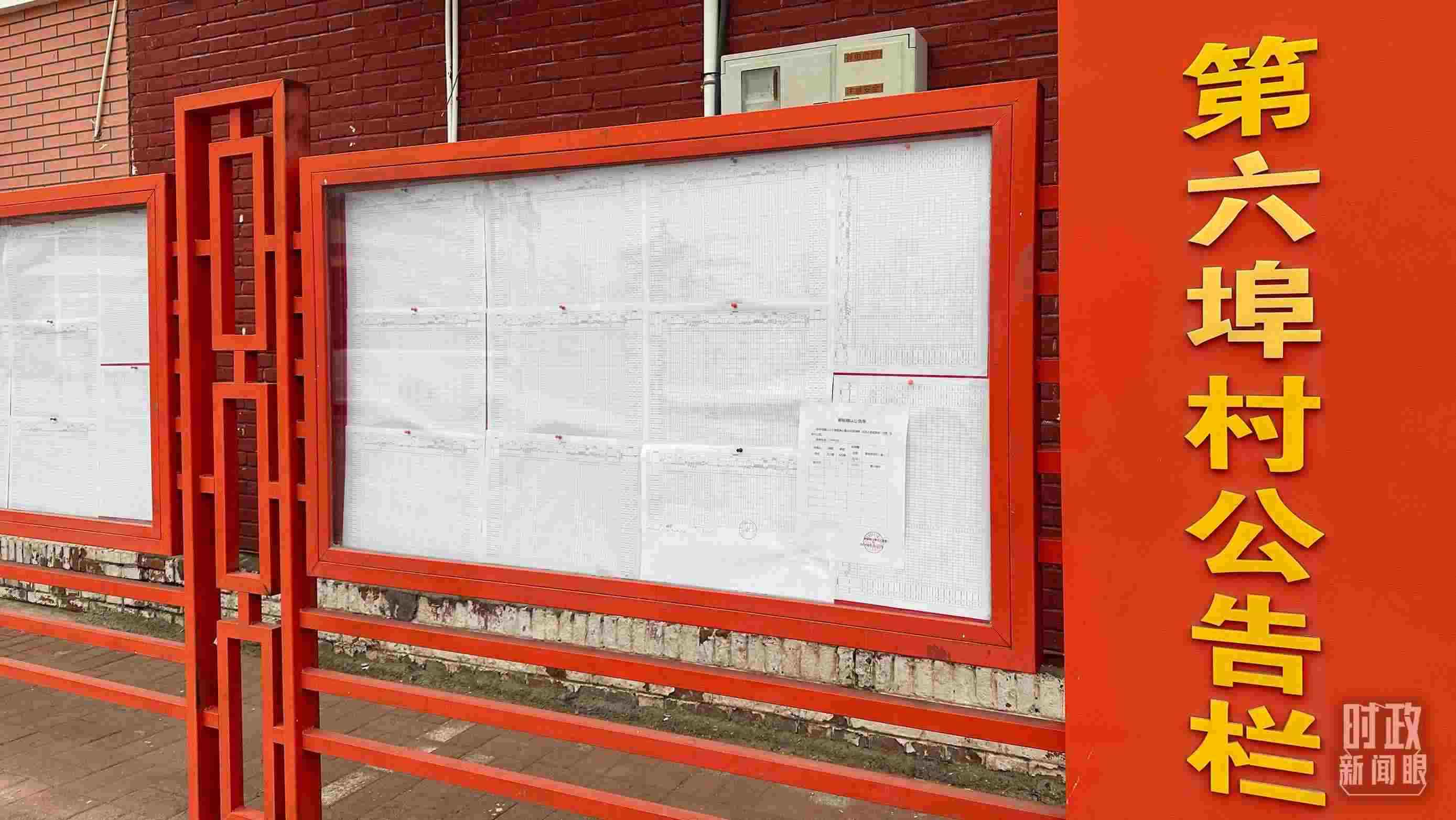 △第六埠村公告欄里張貼著“天津市2023年蓄滯洪區(qū)農作物、經濟林補償標準表”等。（總臺央視記者覃思拍攝）