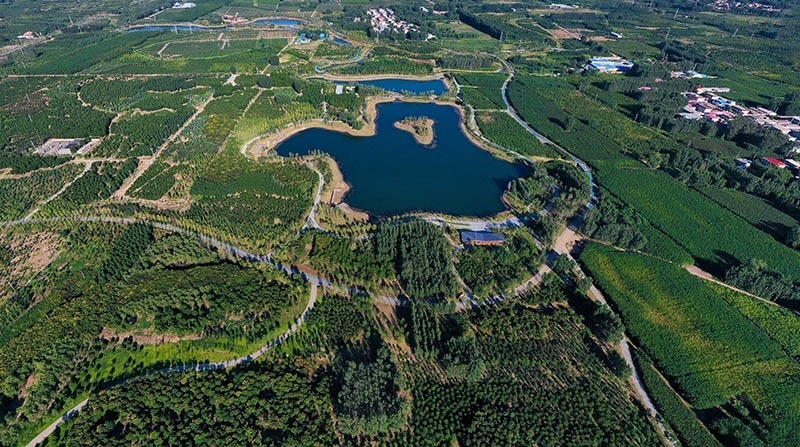 這是2022年9月6日拍攝的雄安新區(qū)“千年秀林”。